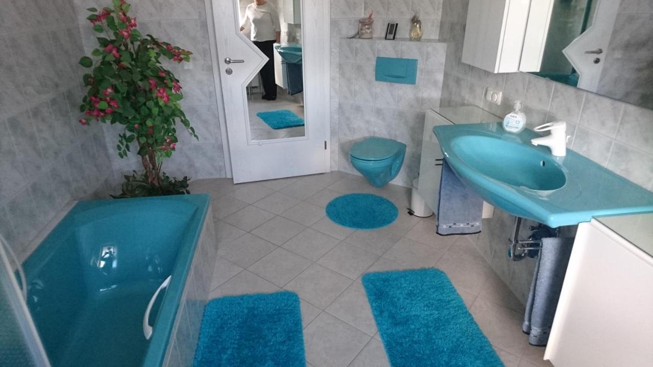 Ferienwohnung Lang Nittenau المظهر الخارجي الصورة